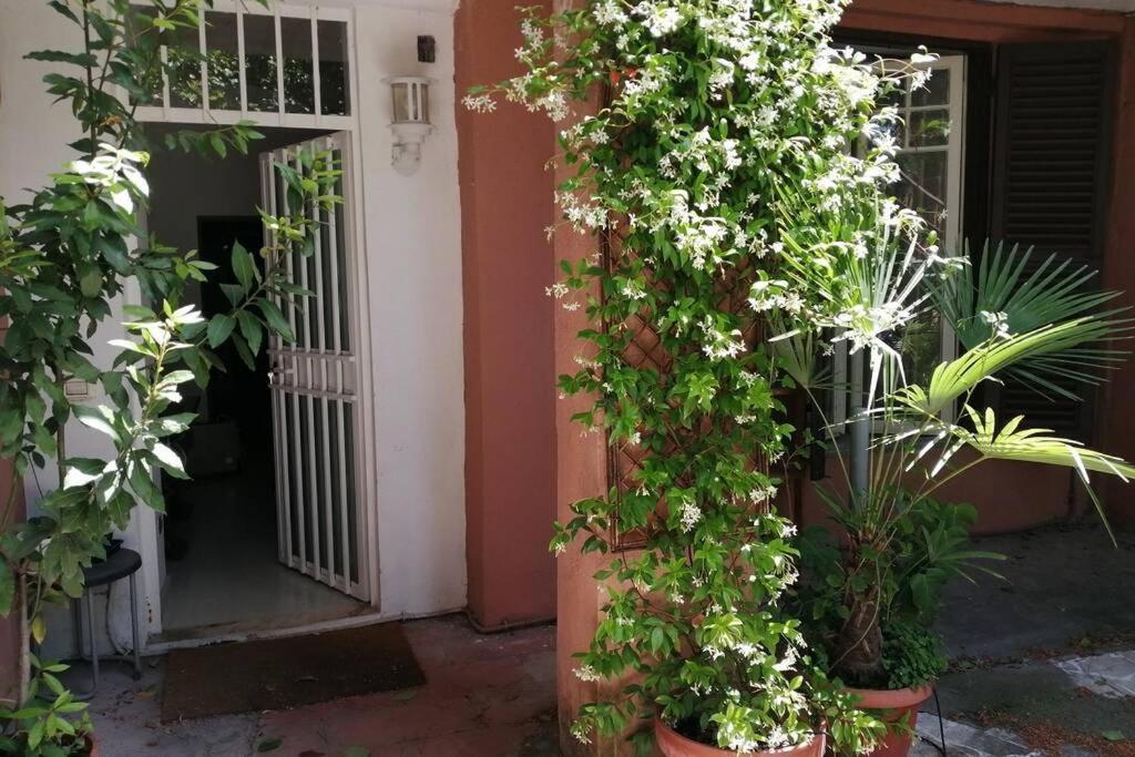 La Casa Della Mia Famiglia Lägenhet Rom Exteriör bild