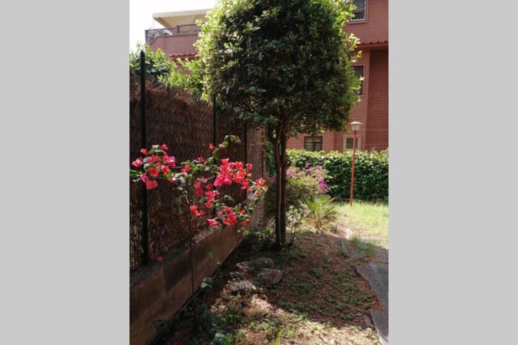 La Casa Della Mia Famiglia Lägenhet Rom Exteriör bild